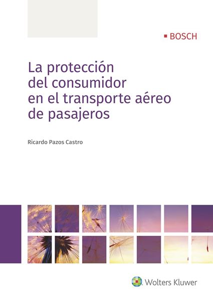 Protección del consumidor en el transporte aéreo de pasajeros, La