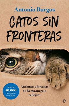 Gatos sin fronteras "Andanzas y fortunas de Remo, un gato callejero"