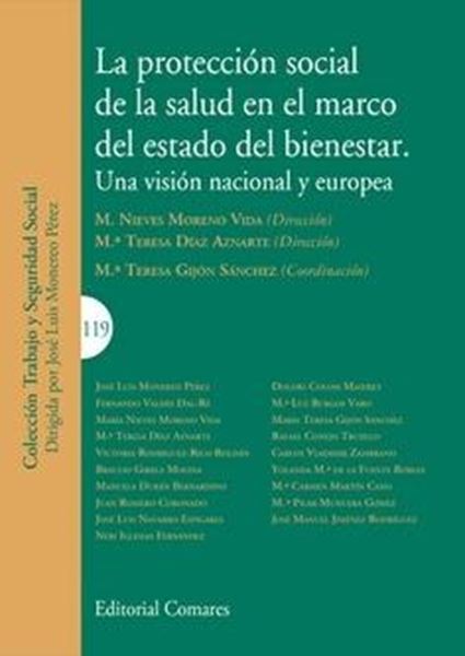 Protección social de la salud en el marco del estado del bienestar, La "Una visión nacional y europea"