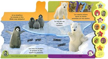 Crías de animales "10 sonidos"