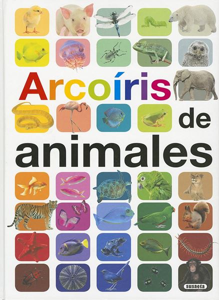 Arcoiris de animales "Grandes ilustrados"