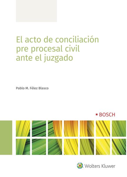 Acto de conciliación pre procesal civil ante el Juzgado, El