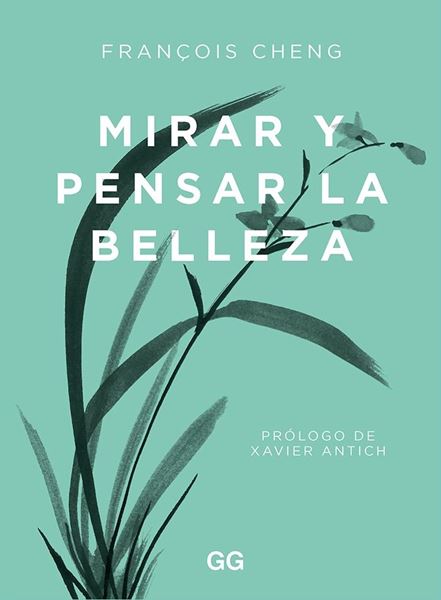 Mirar y pensar la belleza