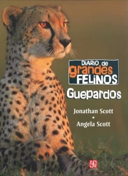 Diario de Grandes Felinos: Guepardos