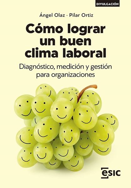 Cómo lograr un buen clima laboral, 2022 "Diagnóstico, medición y gestión para organizaciones"