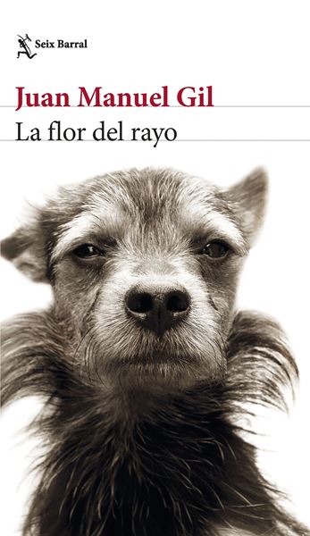 Flor del rayo, La, 2023