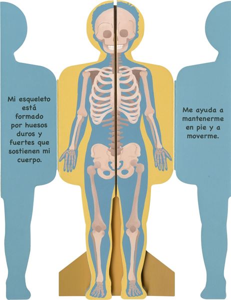 Así es mi cuerpo - Niño