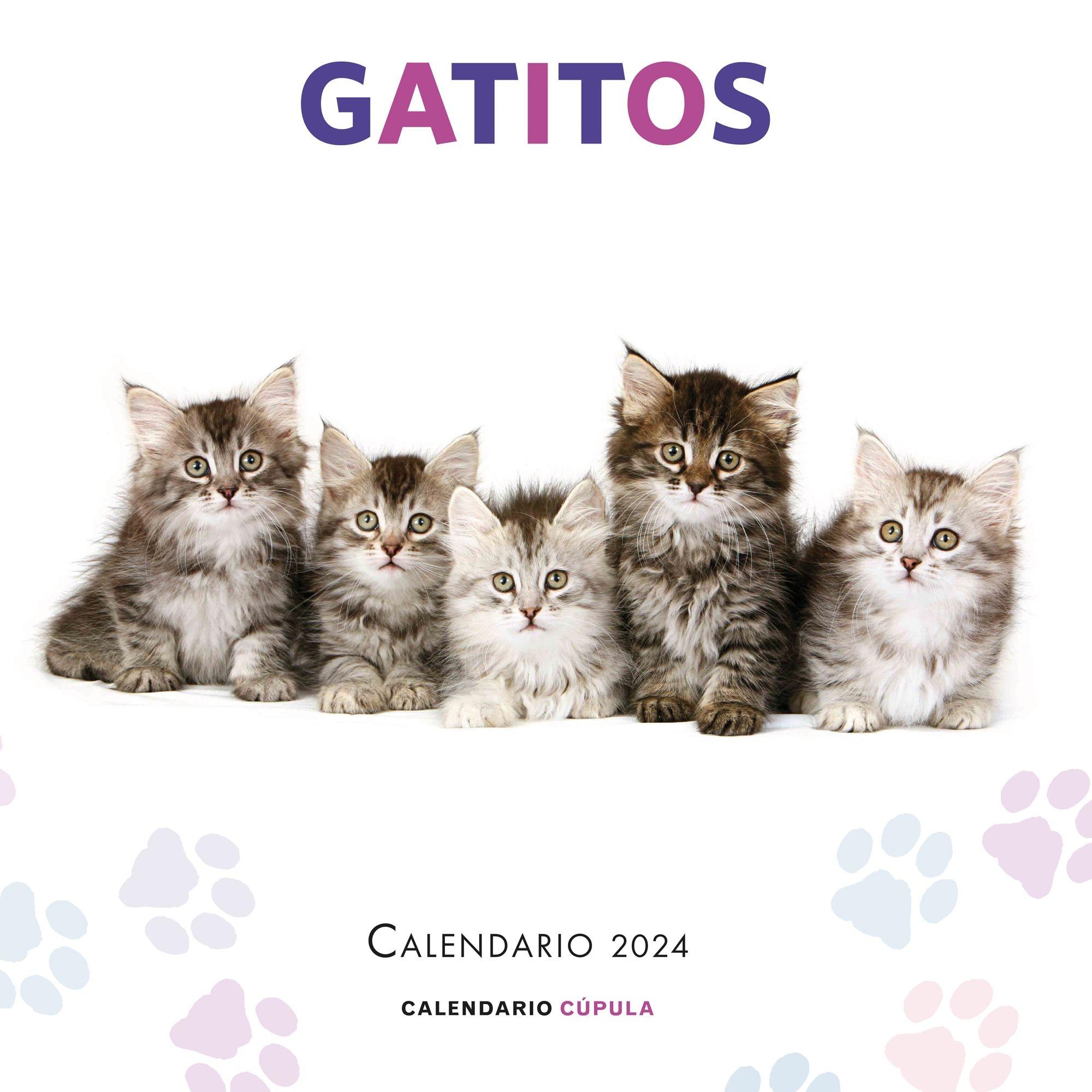 Calendario Gatitos 2024. Librería Cilsa