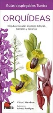 Orquídeas "Introducción a las Especies Ibéricas, Baleares y Canarias"