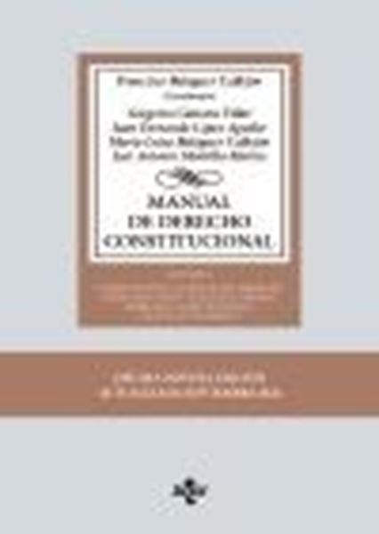 Manual de Derecho Constitucional. Vol. I  - 19ª ed. 09/2024 " Constitución y fuentes del Derecho. Derecho Constitucional Europ"