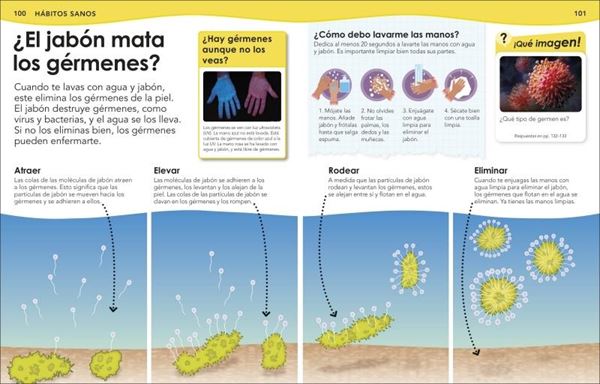 ¿Sabías qué? Cuerpo humano "Respuestas geniales a preguntas sorprendentes"