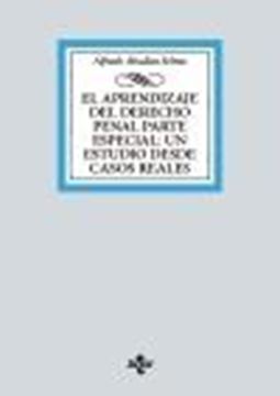 El aprendizaje del Derecho penal parte especial: un estudio desde casos reales. 2024