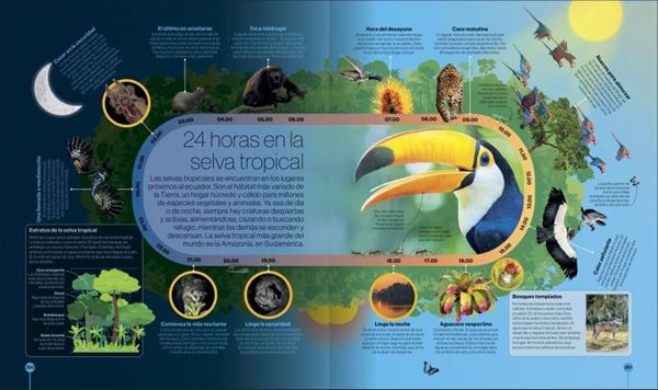 Los ciclos de la naturaleza "Recorridos visuales por el mundo natural"